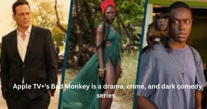 Cast of the Bad Monkey TV series